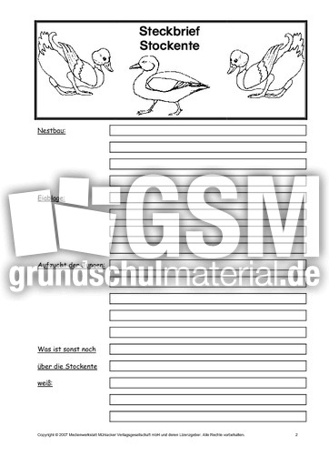 Vorlage-Steckbrief-Stockente-Seite-2.pdf